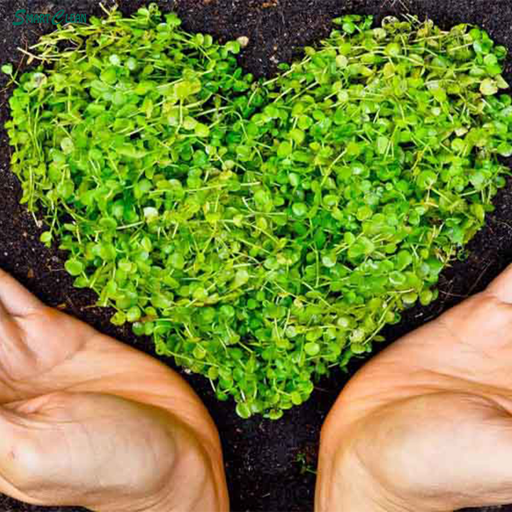 محصولات اسمارت کلین