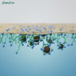 مقایسه پرکاربردترین سورفکتانت ها